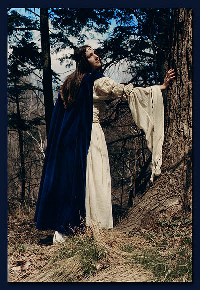 Thе Lаdy of Shallot